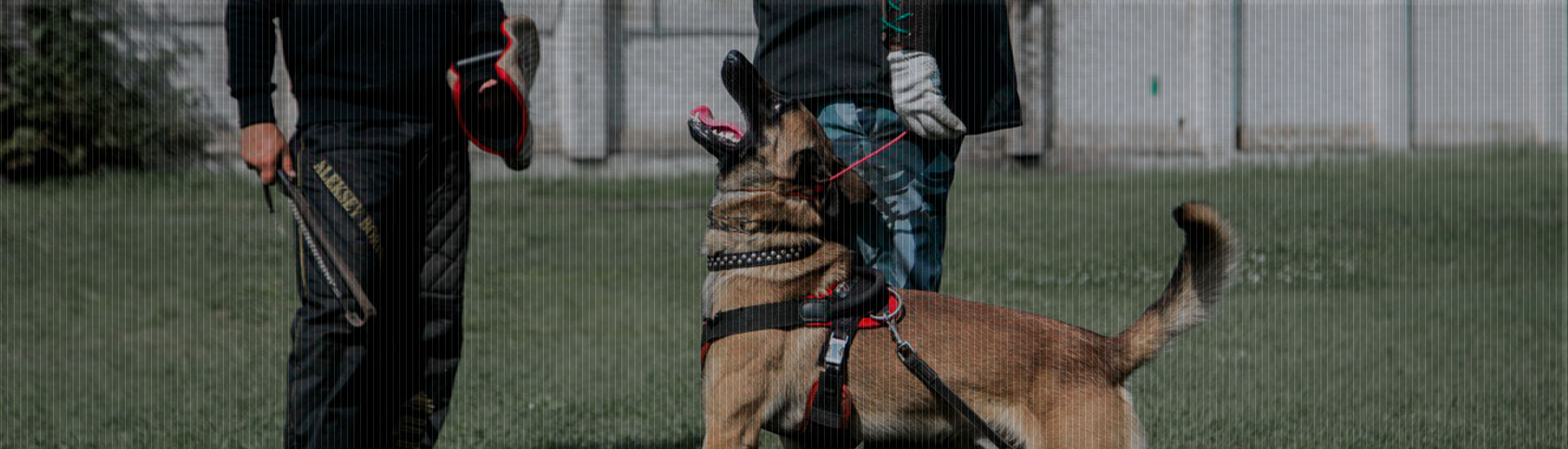 Winnerhund Kennel